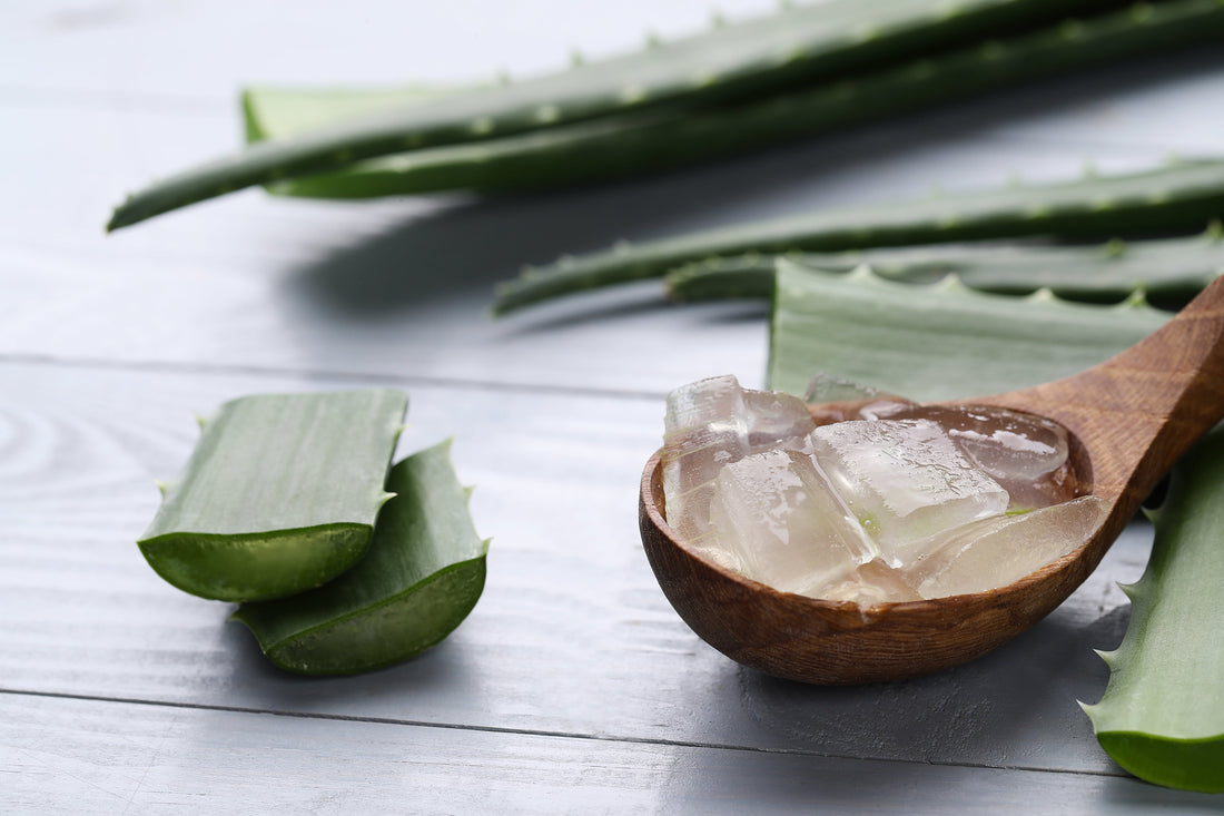 Rituales de Belleza con la Línea Plus: Hidratación Profunda y Rejuvenecimiento